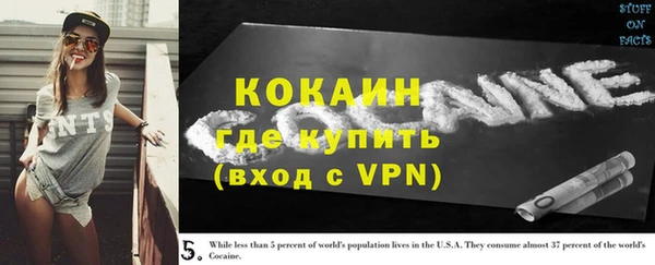 индика Верхний Тагил