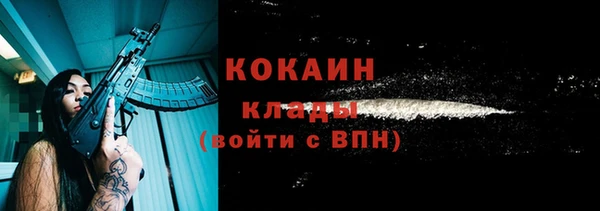 индика Верхний Тагил