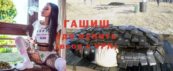 индика Верхний Тагил