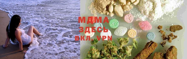 индика Верхний Тагил