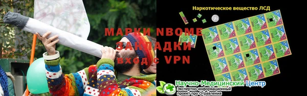 индика Верхний Тагил
