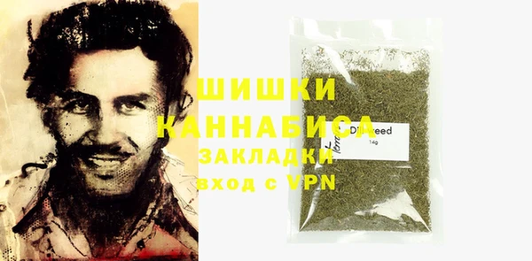 индика Верхний Тагил
